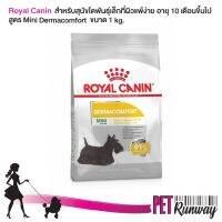 Royal canin Mini Dermacomfort ขนาด 1 กิโลกรัม สำหรับสุนัขโตพันธุ์เล็กที่ผิวแพ้งาย อายุ 10 เดือนขึ้นไป (น้ำหนักโตเต็มวัย 1-10 กก.)