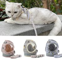 Reflective Cat Harness and Leash Set for Cats Products for s Mesh Cat Harness Gotas Accesorios cat harness