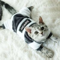 ZZOOI Superpet Cat Sweater Fashion Winter Warm Clothes For Kitten Puppy  Apparel Sphynx Cat Costumes Small Dog Hoody Pet Accessories