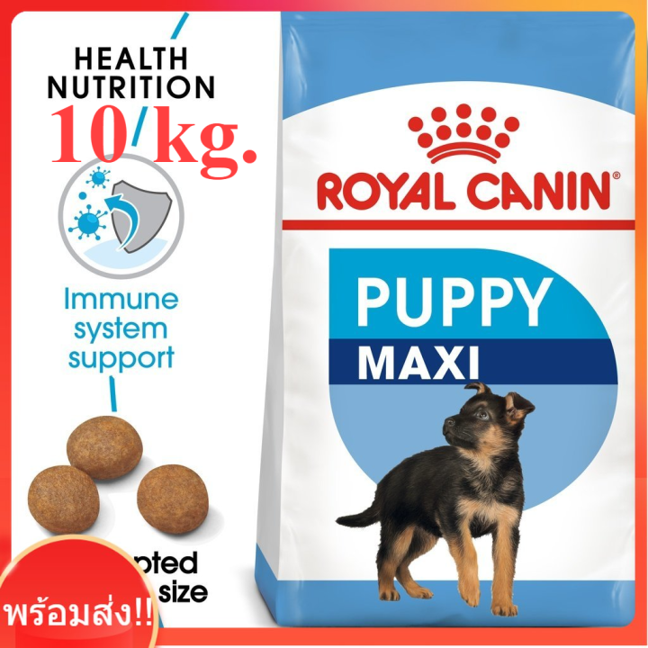 royal-canin-maxi-puppy-10kg-ลูกสุนัขพันธุ์ใหญ่-อายุ-2-15เดือน