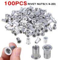 [HOT AIXUSACJWII 526] 100ชิ้น1/4 20รถอลูมิเนียม Rivet ถั่ว Rivnuts Knurled หัวเหล็ก Nutchetta หัวแบนเกลียวแทรกถั่ว Assortment