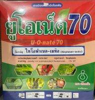 ไทโอฟาเนต เมทิล ยูโอเนต70 โรคใบไหม้ข้าว โรคกุ้งแห้งพริก ราน้ำค้างแตงกวา ใบจุดกล้วย ใบจุดกระเทียม แอนแทรคโนสมะเขือเทศ ขนาด ขนาด100กรัม