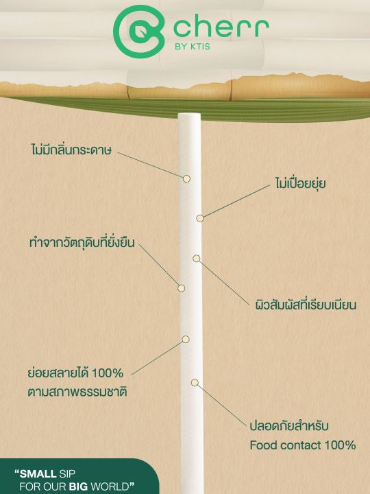 cherr-หลอดกระดาษชานอ้อย-ย่อยสลายได้-ปลอดภัยต่อสุขภาพของผู้บริโภค-ขนาด-6x215มม-100-เส้น-แพ็ค-สีขาว-สีน้ำตาล