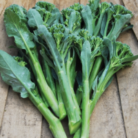 มาใหม่ เมล็ด เบบี้บล็อคโคลี่สีเขียว - Green Sprouting Broccoli 100เมล็ด