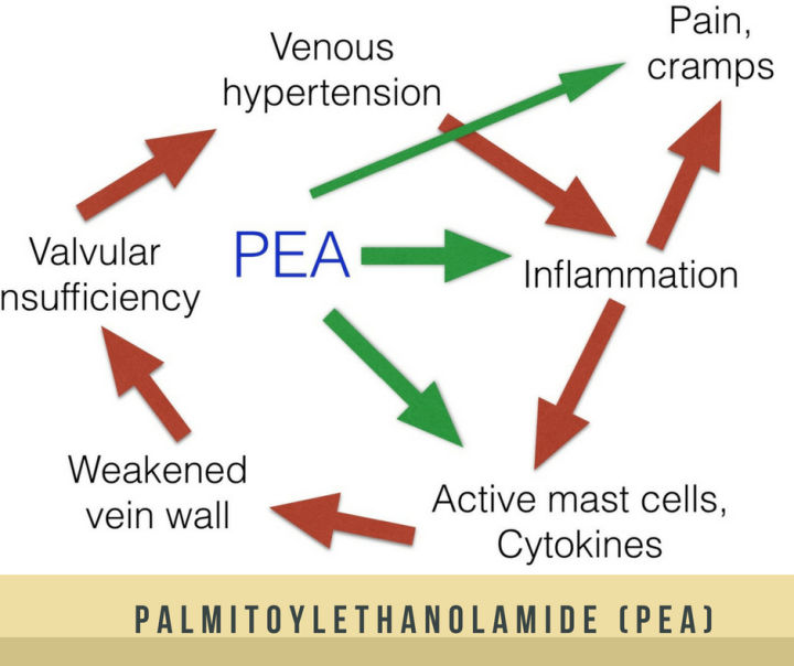 พีอีเอ-pea-palmitoylethanolamide-600-mg-per-serving-30-veggie-capsules-lake-avenue-nutrition