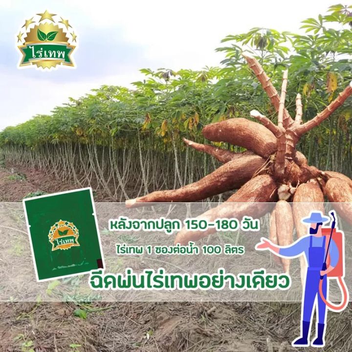 ไร่เทพ-อาหารเสริมพืช-บรรจุ-5-ซอง-บำรุงต้น-เร่งราก-พืชเจริญเติบโตไว-ให้ผลผลิตดี-นาโนเทคโนโลยี-ประหยัดปุ๋ย-ช่วยลดต้นทุน-ไม่มีสารพิษ