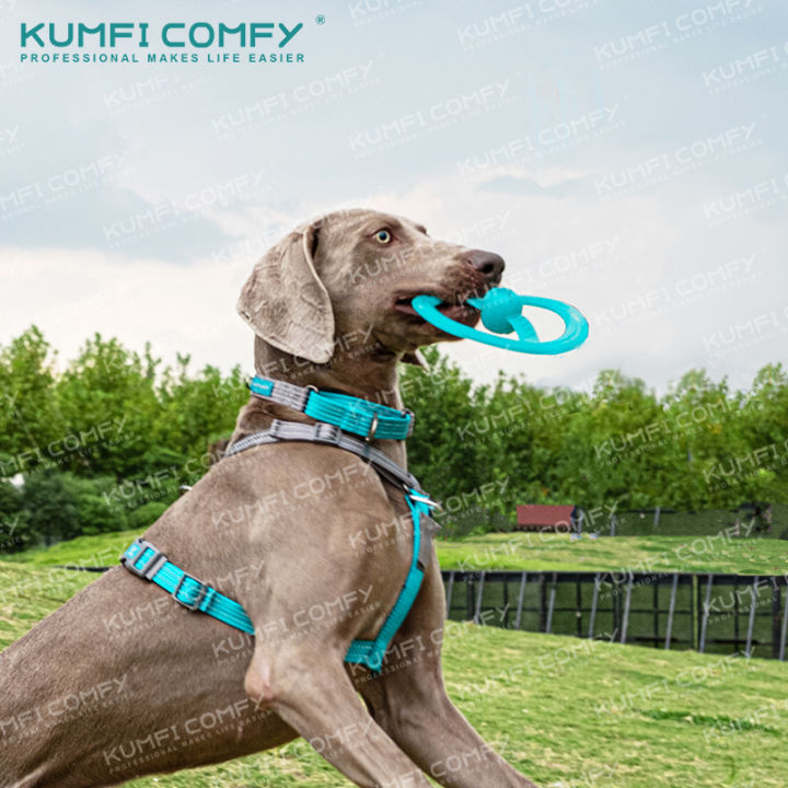 ฟริสบี้-ของเล่นสุนัข-frisbee-chew-kumfi-comfy-จากตัวแทนจำหน่ายอย่างเป็นทางการ-เจ้าเดียวในประเทศไทย