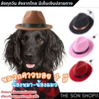 หมวกคาวบอยสัตว์เลี้ยง หมวกหมา แมว สำหรับสุนัขและแมว พร้อมส่งจากไทย เก็บเงินปลายทางได้