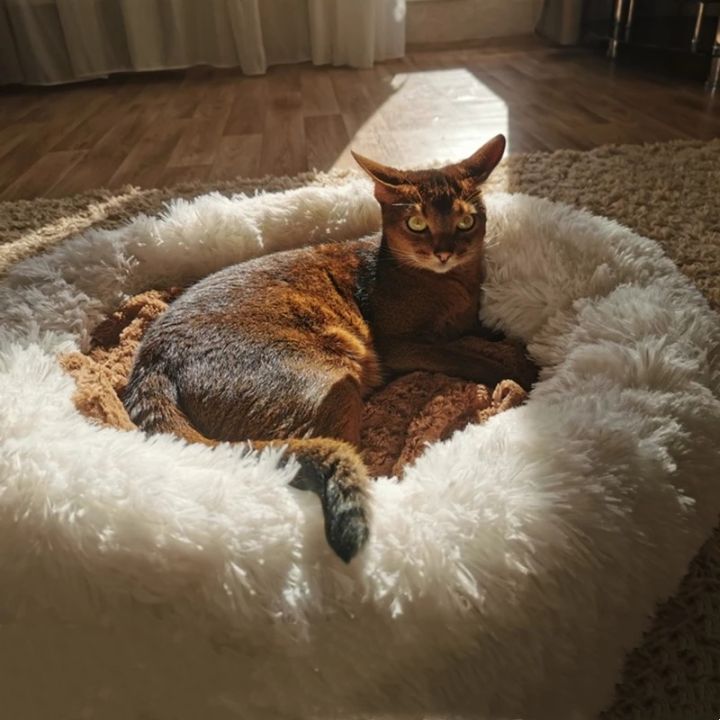 pets-baby-super-soft-dog-bed-plush-cat-mat-dog-beds-for-large-dogs-warm-sleepinground-cushion-pet-beds-pet-products-cat-bed-for-dog