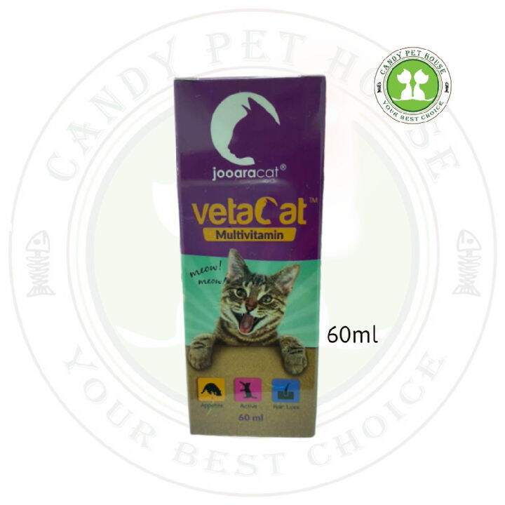 VetaCat Multivitamin Syrup for Cat & Kitten (60ML) Lazada