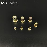 Rivet Nut M3 M4 M5 M6 M8 M10 M12 Zinc Plated Carbon Steel Knurled Nuts Flat Head Threaded Rivet Insert Nutsert Cap Nuts Nails  Screws Fasteners