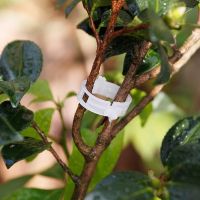 Plastic clips for locking trees, set of 10 pieces, clippings for tree branches White climbing plant support clip, diameter 30mm., height 9mm.