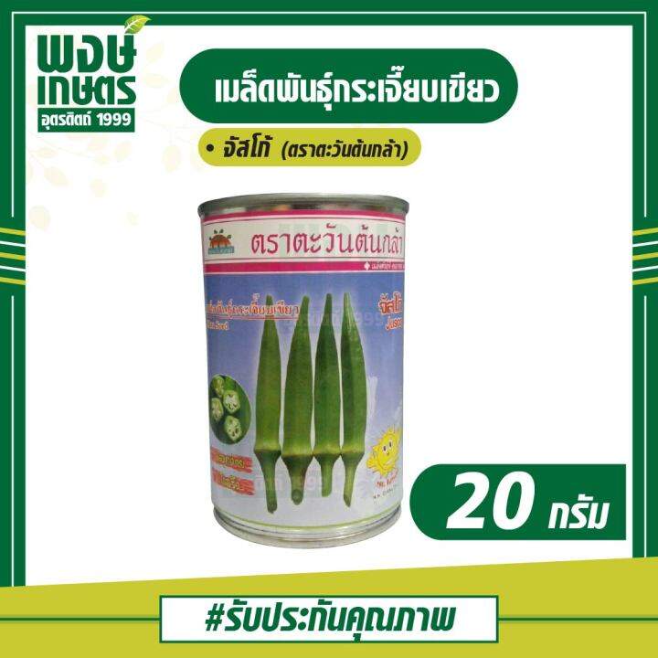 เมล็ดพันธุ์กระเจี๊ยบเขียว-okra-seed-จัสโก้-20-กรัม-ตราตะวันต้นกล้า-เมล็ดพันธุ์ผัก-เมล็ดพันธุ์พืช-ผักสวนครัว-พรรณไม้-พงษ์เกษตรอุตรดิตถ์