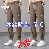 Woodpecker ice silk pants mens summer thin kind of casual pants sports pants han edition quick-drying beam foot trousers new trend