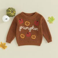 Baby Boys Girls Halloween Clothes Kids Knitted Sweater Pumpkin Letter Embroidery Long Sleeve Pullover Tops Fall Toddler Clothes