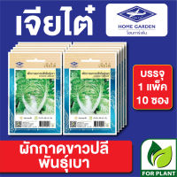 ผักซอง เจียไต๋ CT15 ผักกาดขาวปลีพันธุ์เบา บรรจุแพ็คล่ะ 10 ซอง ราคา 70 บาท