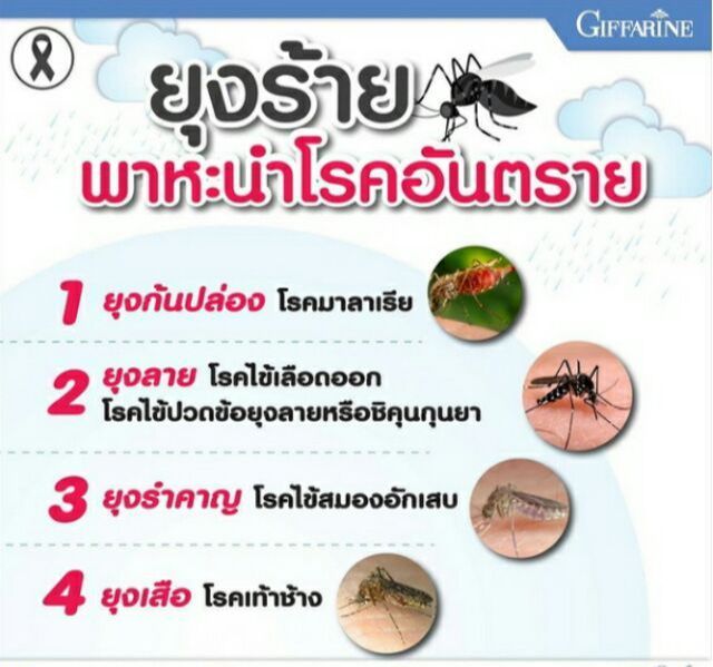 กิฟฟารีน-โน-มอส-สเปรย์กันยุง-กิฟฟารีนของแท้