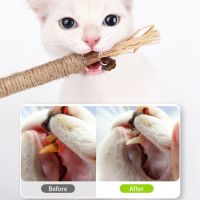 2pcs Cat Toys Silvervine Chew Stick Kitten Snacks Catnip Toys Kitten Natural Materials Clean Teeth With Catnip Indoor Dental Toys