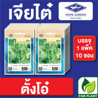 ผักซอง เจียไต๋ CT15 เมล็ดพันธุ์ พันธุ์ผัก ตั้งโอ๋ บรรจุแพ็คล่ะ 10 ซอง ราคา 70 บาท