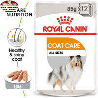 สุดปัง ส่งฟรี ? [ยกกล่อง 12 ซอง] Royal Canin Coat Care Pouch Loaf อาหารเปียกสุนัขโต ทุกขนาด บำรุงเส้นขน (โลฟเนื้อละเอียด, Wet Dog Food, โรยัล คานิน) ?