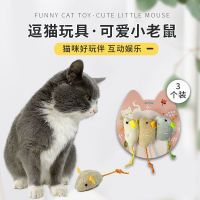 3pcs Plush Simulation Catnip Mouse Cat Toy Chews Teeth Tease Cat Interactive Toy Soft Cat Plush Cute Cat Toy Color Mouse Toys