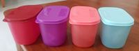 Tupperware กล่องฟรีซเซอร์เมทมินิ (4)