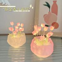 Tulips are small night light diy handmade gift birthday girl girl heart luminous gifts girlfriends graduation season