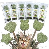 Cute Shape Fresh Cat Catnip Toys Cat Mint Natural Safety Edible Cute Shape Pet Mint Lollipop Catnip Ball Cat Toy Clean Teeth Toys