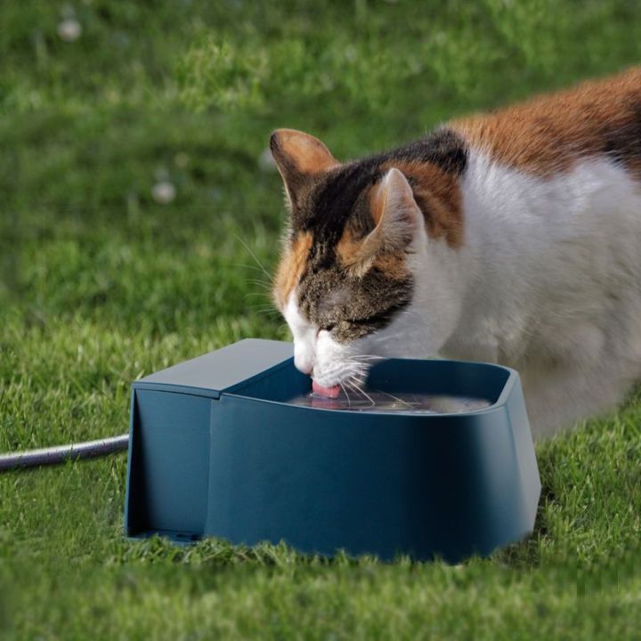 น้ำพุชามน้ำดื่มอัตโนมัติ68ออนซ์-น้ำพุแมวผลิตภัณฑ์สัตว์เลี้ยงโลกสำหรับเติมอัตโนมัติภาชนะบรรจุน้ำ
