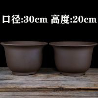 [COD] radish flower Yixing purple sand Chlorophytum plant succulent vegetable bonsai potted extra large ceramic good-looking