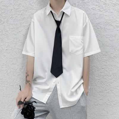 Prince Ali Plain Color with Stripes Unisex Zipper Mechanism Student Necktie Tie E0X0
