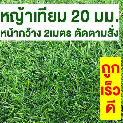 หญ้าเทียม เกรดA สูง 20มม. ขนาด 2x1ม. *ตัดตามสั่ง* กันUV หญ้าเทียมราคาถูก หญ้าปลอม หญ้าเทียมถูกๆ คุณภาพดี สีไม่ซีด มีรูระบายน้ำ แต่งสวน จัดส่งไว