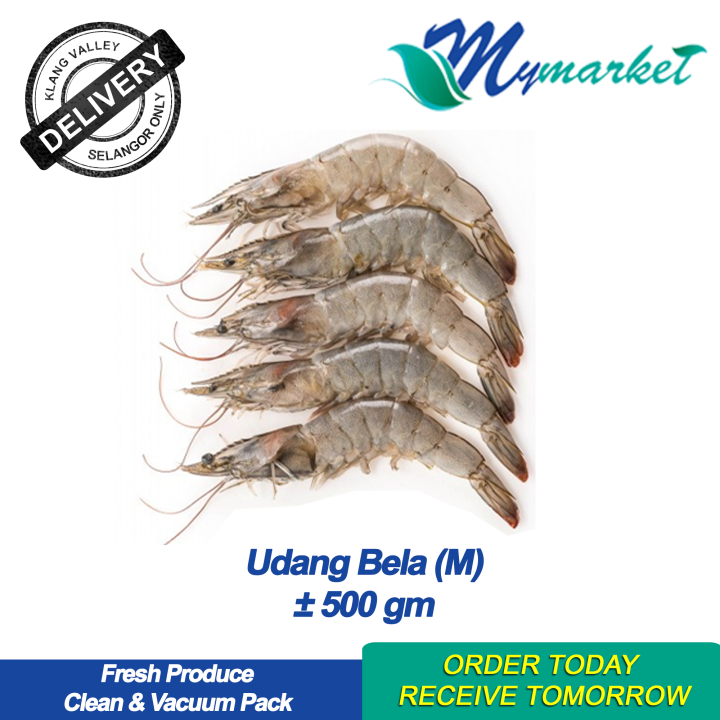 Udang Saiz M (Prawn M) ±500gm | Lazada