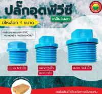 ปลั๊กอุด พีวีซีเกลียวนอก ขนาด 1, 1.5, 1/2, 3/4 นิ้ว EXTERNAL THREAD SOCKET PLUG ตัวอุดปลายท่อ หัวอุดเกลียวนอก จุกอุดน้ำ ปลั๊กอุดพีวีซีเกลียวนอก มิตสห mitsaha