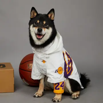 Shop Dog Clothes For Dog Basketball with great discounts and prices online  - Aug 2023