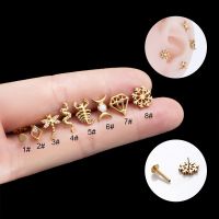 【LZ】☢  Piercing Labret Studs Goth Jóias G23 Titanium Insert Push-Pin Lip Ear Prego Helix Piercing Conch Cartilagem Lobe Stud Para Mulheres