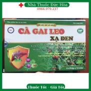 Cà gai leo xạ đen - mát gan, giải độc, thanh nhiệt cơ thể t