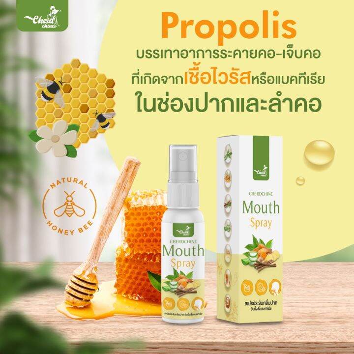 สเปรย์กระชายขาว-สเปรย์พ่นคอ-กระชายขาว-เฉิดฉาย-cherdchine-mouth-spray-สเปรย์-ฟ้าทลายโจร-กระชายขาว