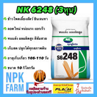 ข้าวโพดเลี้ยงสัตว์ เอ็นเค NK 6248 เบอร์3 (3 หุน) 10 กิโลกรัม หมดอายุ07/67 ซินเจนทา ข้าวโพดสัตว์ เมล็ดเล็ก ลอตใหม่ หน่อแรง ทนแล้ง npkplant