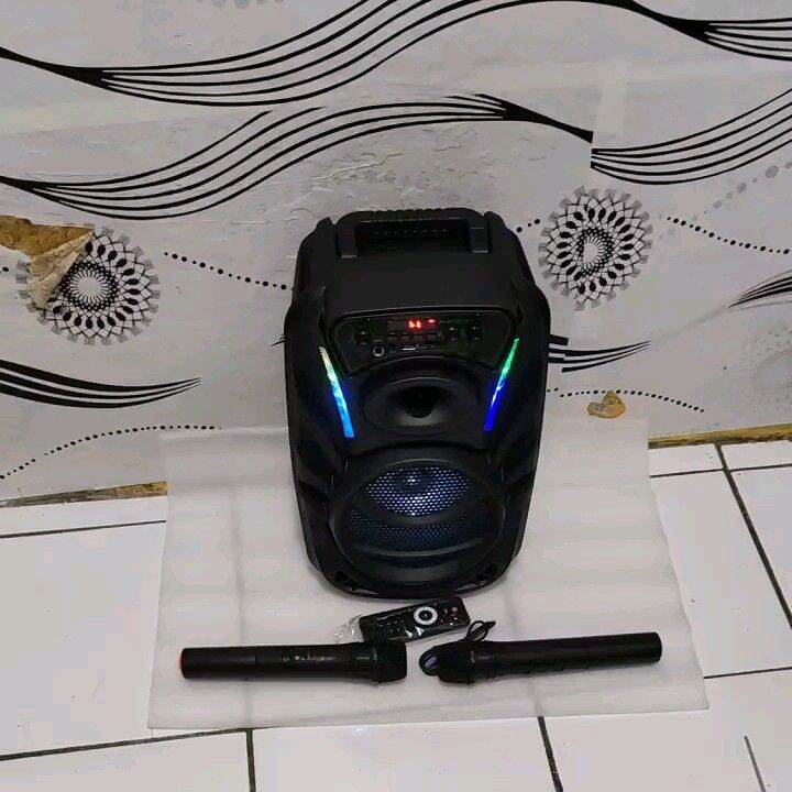 SPEAKER BLUETOOTH KARAOKE SALON AKTIF 2MIC 8'5 INCH | Lazada Indonesia