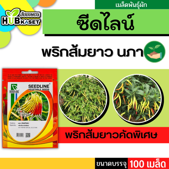 ซีดไลน์ 🇹🇭 พริกส้มยาวคัดพิเศษ นภา ขนาดบรรจุประมาณ 100 เมล็ด