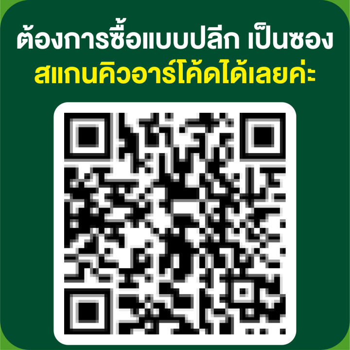 เมล็ดพันธุ์-ดอกไม้-เจียไต๋-ct25-ดาวกระจายสีเหลืองต้นสูง-บรรจุแพ็คล่ะ-10-ซอง-ราคา-160-บาท