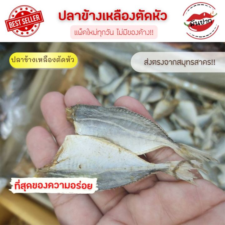 ปลาข้างเหลืองตัดหัว-500-กรัม-ปลาข้างเหลืองไม่ผ่า-ปลาแห้ง-ปลาตากแห้ง-ปลาตัวเล็ก-ปลาแคลเซียมสูงปลาเค็มแห้ง-อาหารทะเลแห้ง-อาหารทะเลแปรรูป-monpak