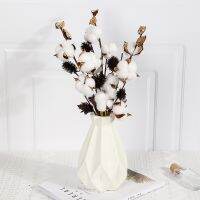 【cw】 4/6/10Head Dried Cotton Heads Branches Dry Stalks Rustic Centerpiece Door Wreath