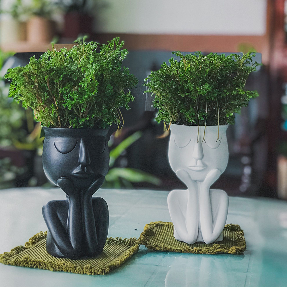 Cute Human Head Portrait Resin Flower Pot Succulent Plant Vase Garden Home Decor 