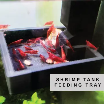 Shrimp Feeding Tray - Best Price in Singapore - Feb 2024