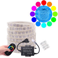 120LED /M หลอดไฟ LED Strip RGB 5050 220โวลต์ RF สัมผัสควบคุมระยะไกล Super Bright สองแถวกันน้ำ F LEX ริบบิ้นตกแต่งบ้าน