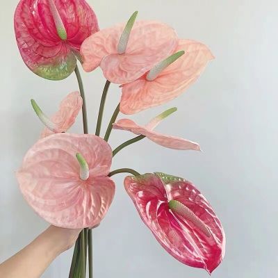 【DT】 hot  High imitation red palm  Guanyin lotus  flamingo  wedding simulation flower  soft decoration  home decoration fake flowerTH