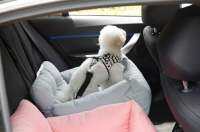 ที่นอนสุนัขในรถยนต์ เบาะนอนสุนัข ที่นอนสัตว์เลี้ยงในรถ Pet car seat เบาะสุนัข มีที่ล็อค ปลอดภัยในการเดินทาง