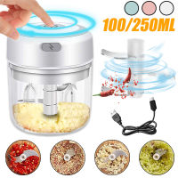 Mini Electric Garlic Chopper 100250ml USB Charging Cordless Portable Food Chopper Durable Chili Vegetable Crusher Kitchen Tools